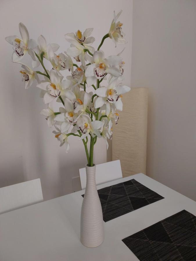 Appartamento The Smart Choice Firenze